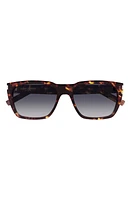 Saint Laurent 56mm Rectangular Sunglasses in Havana at Nordstrom