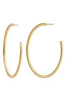 Bony Levy Textured 14K Gold Hoop Earrings in 14K Yellow Gold at Nordstrom