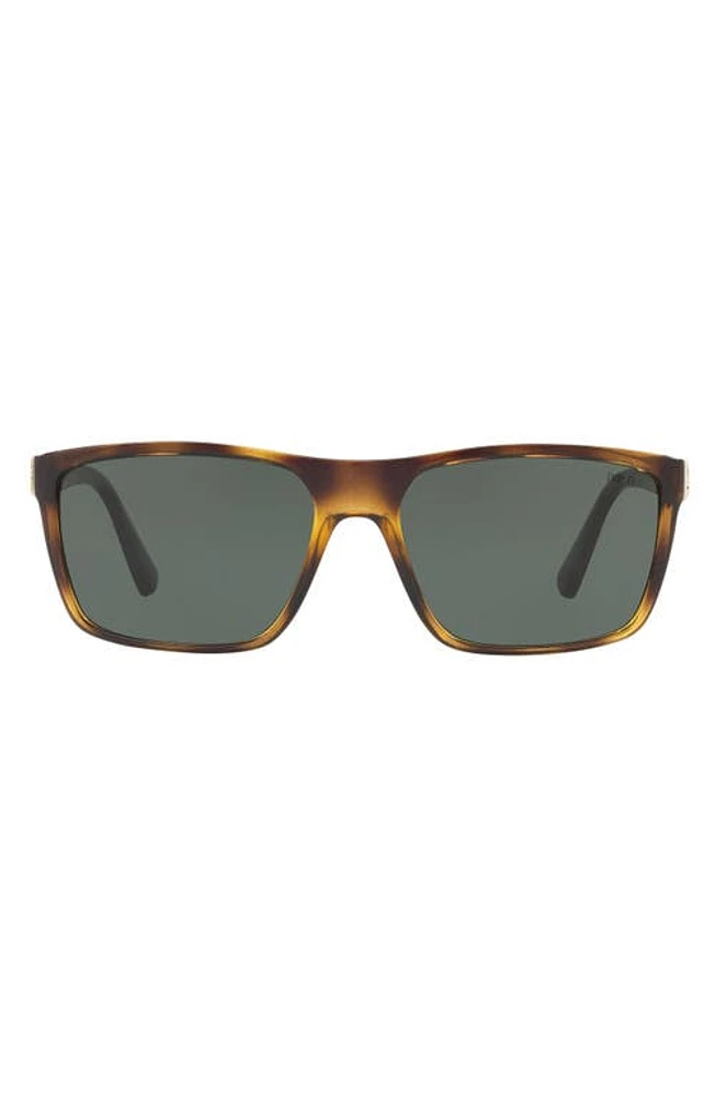 Polo Ralph Lauren 59mm Rectangular Sunglasses in Havana at Nordstrom