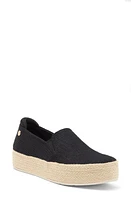 SKECHERS x Martha Stewart BOBS Sesame Slip-On Sneaker at Nordstrom,