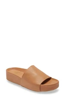 Beek Pelican Platform Slide Sandal at Nordstrom,