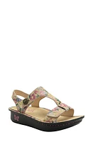 Alegria by PG Lite Kerri T-Strap Sandal at Nordstrom,