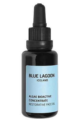 Blue Lagoon Iceland Algae Bioactive Concentrate Restorative Face Oil at Nordstrom, Size 1 Oz