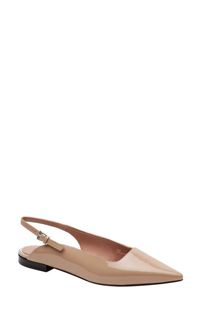 Linea Paolo Caia Pointed Toe Slingback Flat in Maple Sugar at Nordstrom, Size 5.5