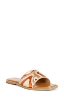 SAINT G Giorgia Slide Sandal Multi at Nordstrom,