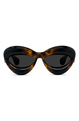 Loewe 55mm Cat Eye Sunglasses in Dark Havana /Smoke at Nordstrom