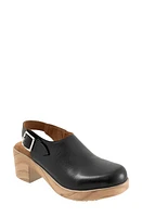 SoftWalk Fairbanks Slingback Platform Clog Black at Nordstrom,