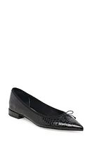 Dolce Vita Palani Pointed Toe Flat at Nordstrom,