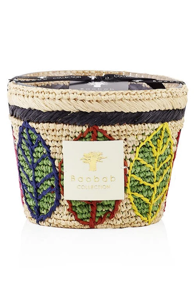 Baobab Collection Ravintsara Candle in Lamba at Nordstrom, Size Small