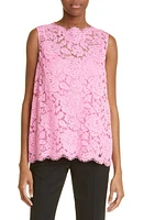 Dolce & Gabbana Branded Stretch Lace Top Bright Pink at Nordstrom, Us