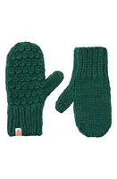 Sh*t That I Knit The Gunn Merino Wool Mittens in Forest at Nordstrom