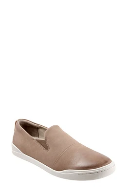 SoftWalk Alexandria Sneaker Taupe Nubuck at Nordstrom,