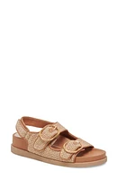 Dolce Vita Starla Platform Sandal at Nordstrom,