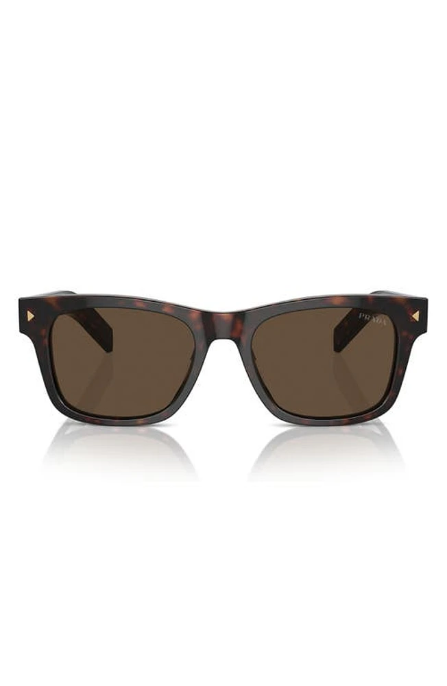 Prada 51mm Rectangular Sunglasses in Dark Brown at Nordstrom