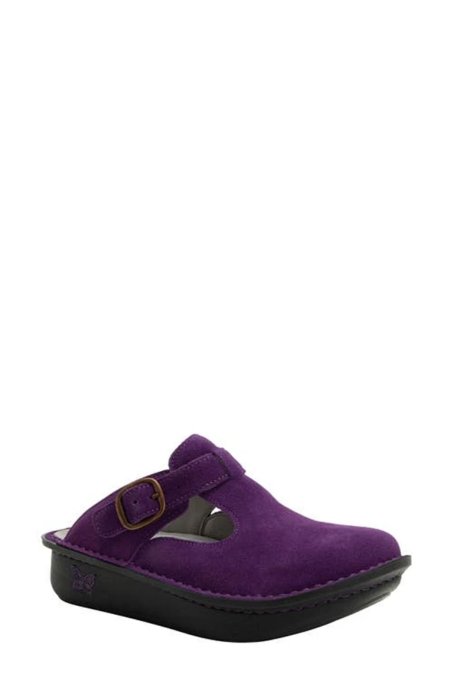 Alegria by PG Lite Classic Clog at Nordstrom,