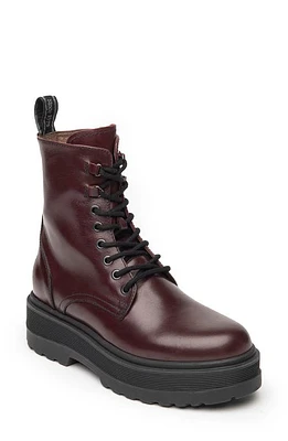 NeroGiardini Platform Combat Boot in Bordo at Nordstrom, Size 10Us