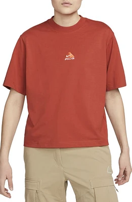 Nike Embroidered Logo Relaxed Fit T-Shirt in Cinnabar at Nordstrom, Size X-Large