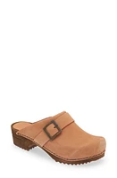 Sanita Platform Clog Salmon at Nordstrom,