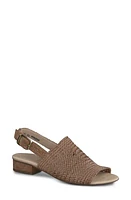 Paul Green Helena Woven Leather Block Heel Sandal at Nordstrom,