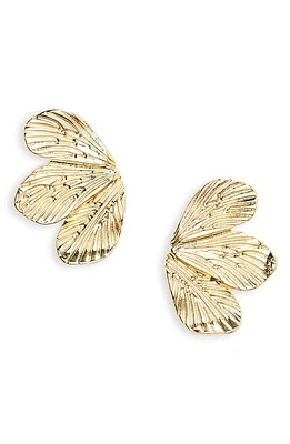 Nordstrom Texture Petal Stud Earrings in Gold at Nordstrom