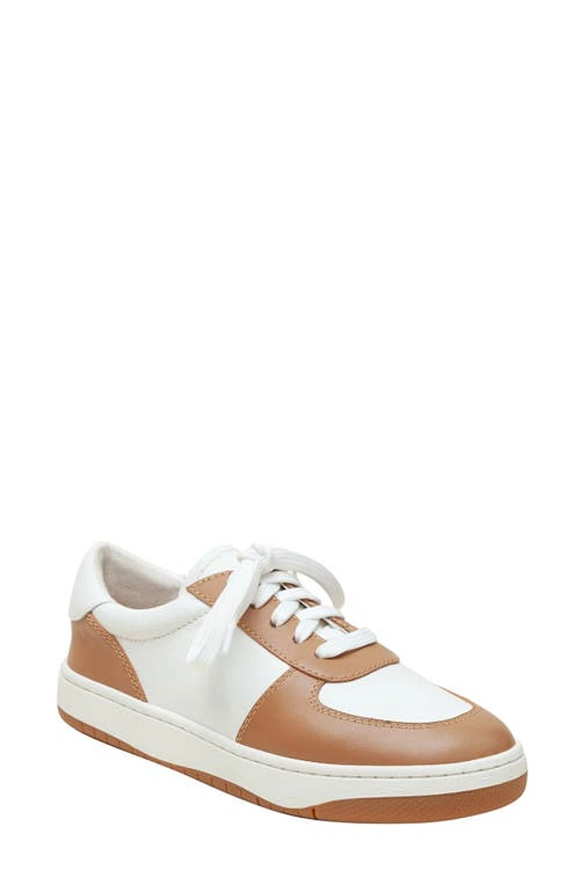 Linea Paolo Krista Sneaker at Nordstrom,