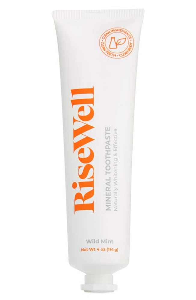 RISEWELL Wild Mint Mineral Toothpaste at Nordstrom