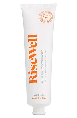 RISEWELL Wild Mint Mineral Toothpaste at Nordstrom