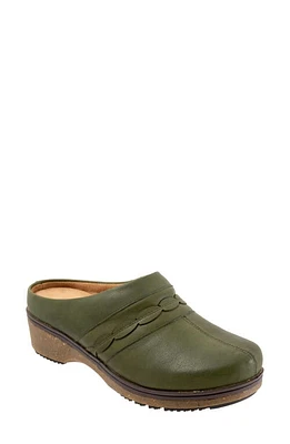 SoftWalk Amber 3.0 Clog Dark Olive at Nordstrom,