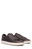 CLAE Bradley Water Repellent Sneaker Walrus Brown Leather at Nordstrom,