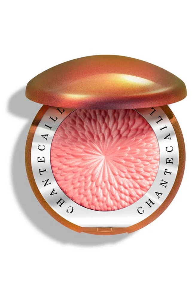 Chantecaille Sunstone Radiant Blush in Energy at Nordstrom