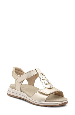 ara Oregon Sandal Platinum Metallic Leather at Nordstrom,