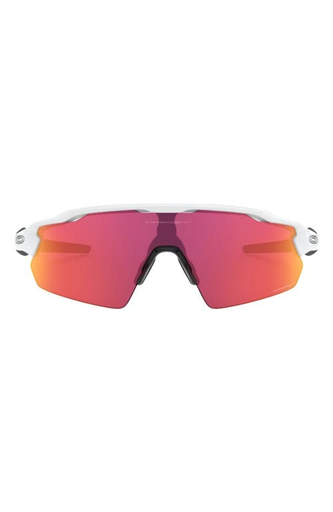 Oakley Radar EV Pitch 138mm Prizm Shield Sunglasses in White/Purple Pink at Nordstrom