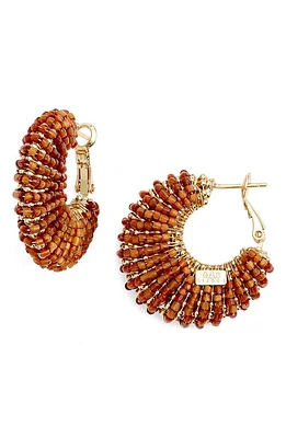 Gas Bijoux Izzia Beaded Hoop Earrings in Brown at Nordstrom