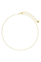 Brook and York Carly Chain Link Choker Necklace in Gold at Nordstrom