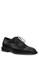 Stuart Weitzman Royce Runway Embellished Wingtip Oxford in Black Multi at Nordstrom, Size 10.5