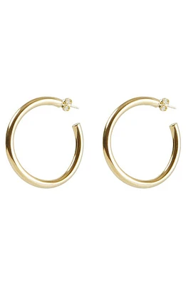 Argento Vivo Sterling Silver Tube Hoop Earrings in Gold at Nordstrom