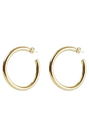 Argento Vivo Sterling Silver Tube Hoop Earrings in Gold at Nordstrom