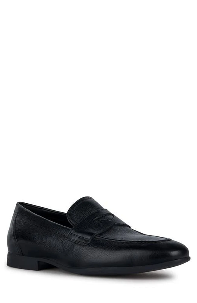 Geox Sapienza Penny Loafer Black at Nordstrom,