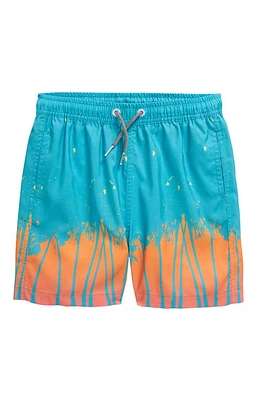 Boardies Kids' Cali Swim Trunks Multi at Nordstrom,