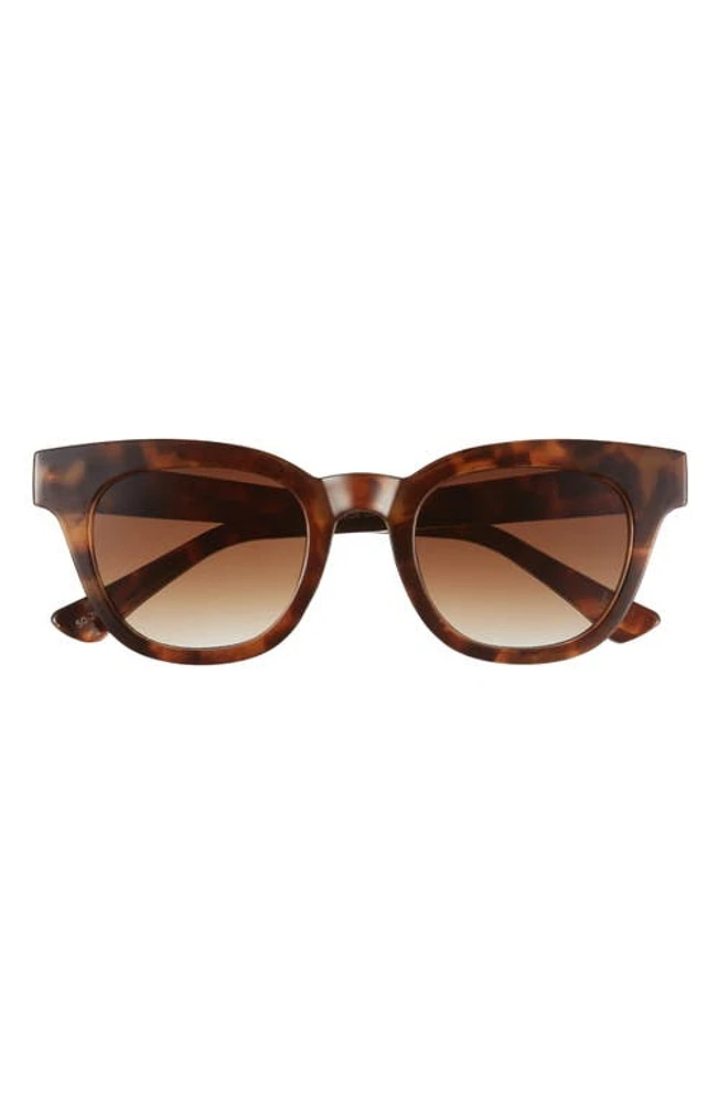 AIRE 50mm Dorado D-Frame Sunglasses in Tort /Brown Grad at Nordstrom