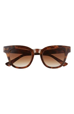 AIRE 50mm Dorado D-Frame Sunglasses in Tort /Brown Grad at Nordstrom