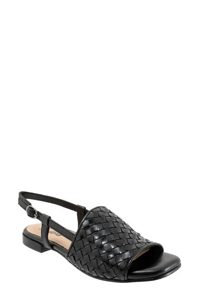 Trotters Nola Slingback Sandal at Nordstrom