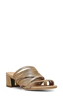 Donald Pliner Marlow Sandal at Nordstrom,