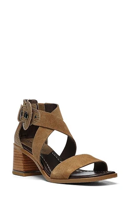 Donald Pliner Helen Strappy Sandal Biscotti at Nordstrom,