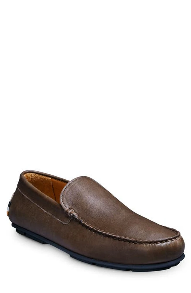 Allen Edmonds Santiago Driving Loafer at Nordstrom