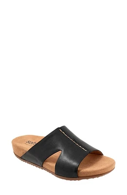 SoftWalk Beverly Sandal Black at Nordstrom,