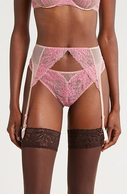 JOURNELLE Chloe Mesh & Lace Garter Belt Sorbet at Nordstrom,