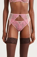 JOURNELLE Chloe Mesh & Lace Garter Belt Sorbet at Nordstrom,