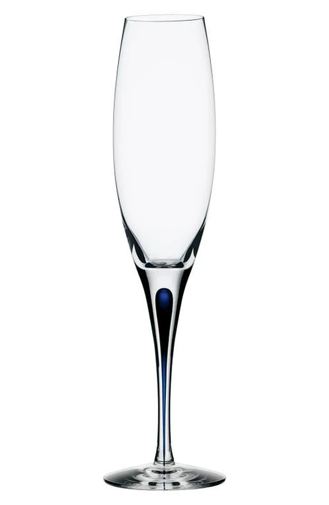 Orrefors Intermezzo Champagne Flute in Clear/Blue at Nordstrom