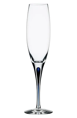 Orrefors Intermezzo Champagne Flute in Clear/Blue at Nordstrom